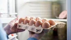 Voiko kananmunia säilyttää jääkaapin ovessa: yleisimmät virheet kananmunien säilytyksessä