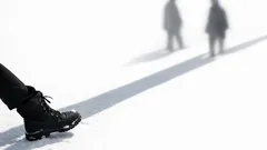 Katse maassa: mitä se kertoo ujoudesta, stressistä ja mielialasta