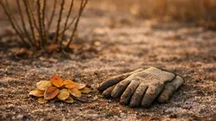 Ruusujen mustalaikku kuriin: 4 marraskuun tekoa, joilla katkaiset tartuntaketjun