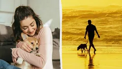 Eivät vain koirat ole ihmisen parhaita ystäviä: kuka muu ymmärtää ihmistä ilman sanoja?