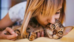 Kissasi rakastaa sinua, mutta on hiljaa: 10 elettä, joita et ehkä ole huomannut