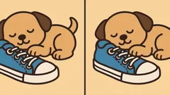 Aivopähkinä: Löydätkö kuvasta 3 eroa pennun kanssa 51 sekunnissa?