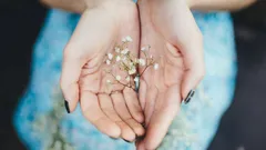 Oma psykologi: miten tunnistaa ihmisen persoonallisuustyyppi kämmenten muodon perusteella